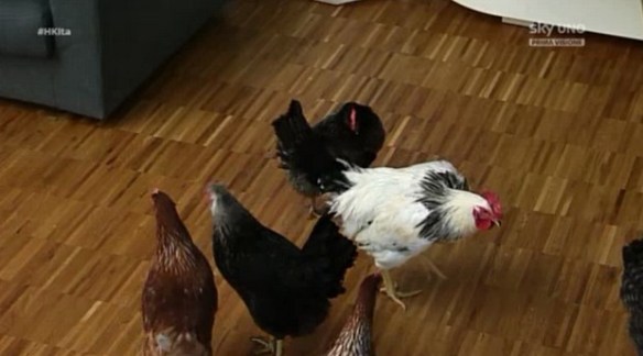 La simpatica sveglia dei concorrenti