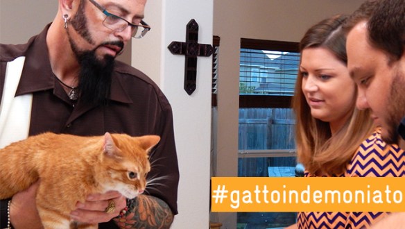 Jackson Galaxy in azione